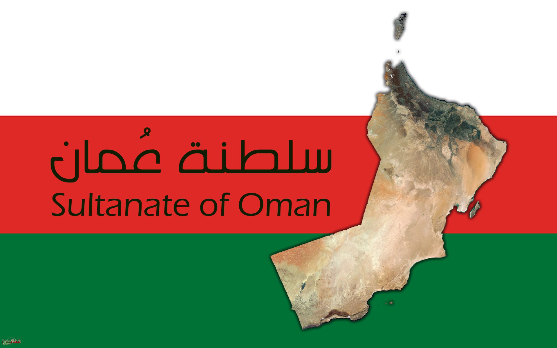 مطلوب مدرسين ومدرسات كافة التخصصات لمدارس كبرى بسلطانة عمان